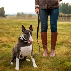 Argentium Dog Jacket