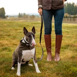 Spectator Dog Jacket