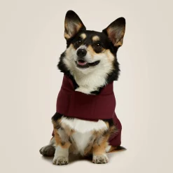 Team Softshell Dog Jacket
