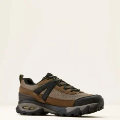 Traverse Low Waterproof Hiking Shoe