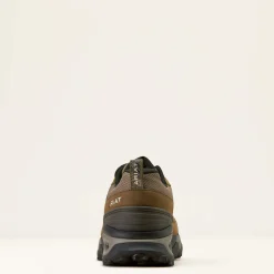 Traverse Low Waterproof Hiking Shoe