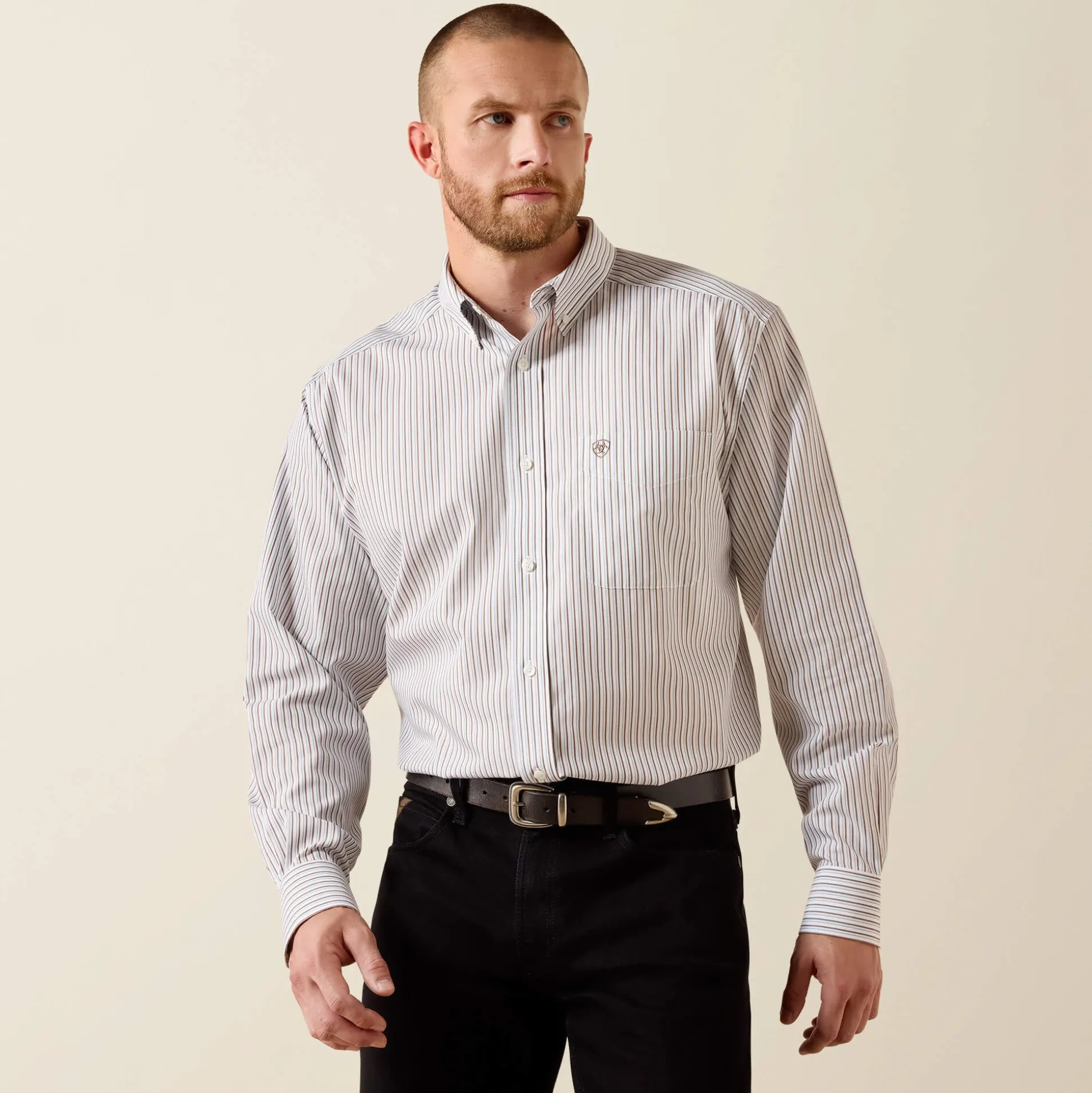Wrinkle Free Cory Classic Fit Shirt