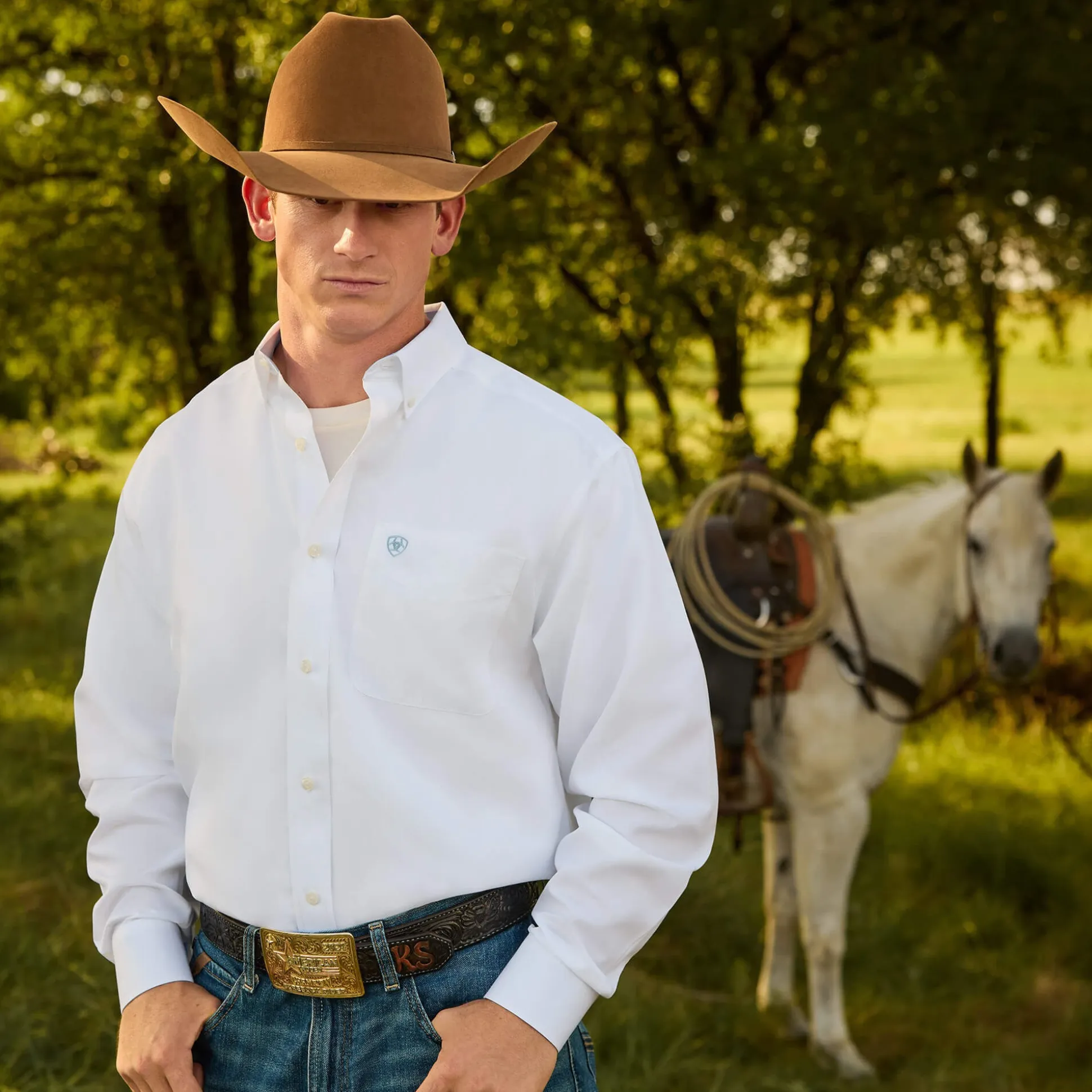 Wrinkle Free Solid Classic Fit Shirt